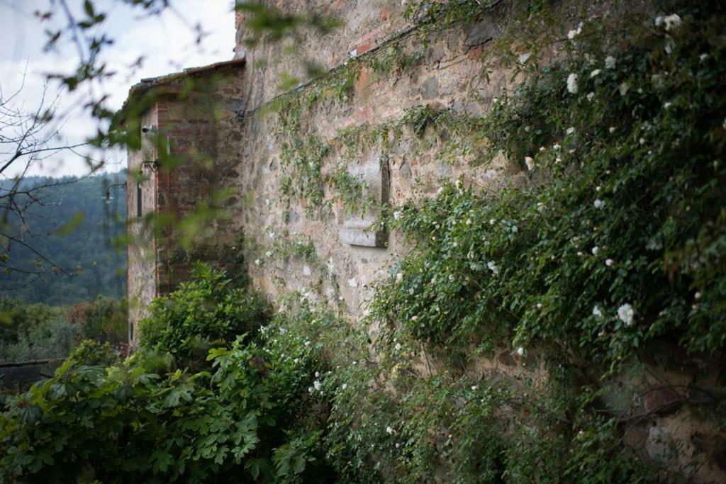 La Canonica Di Nusenna